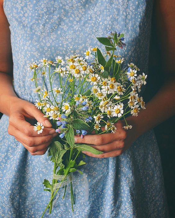 The Skin Benefits of Chamomile